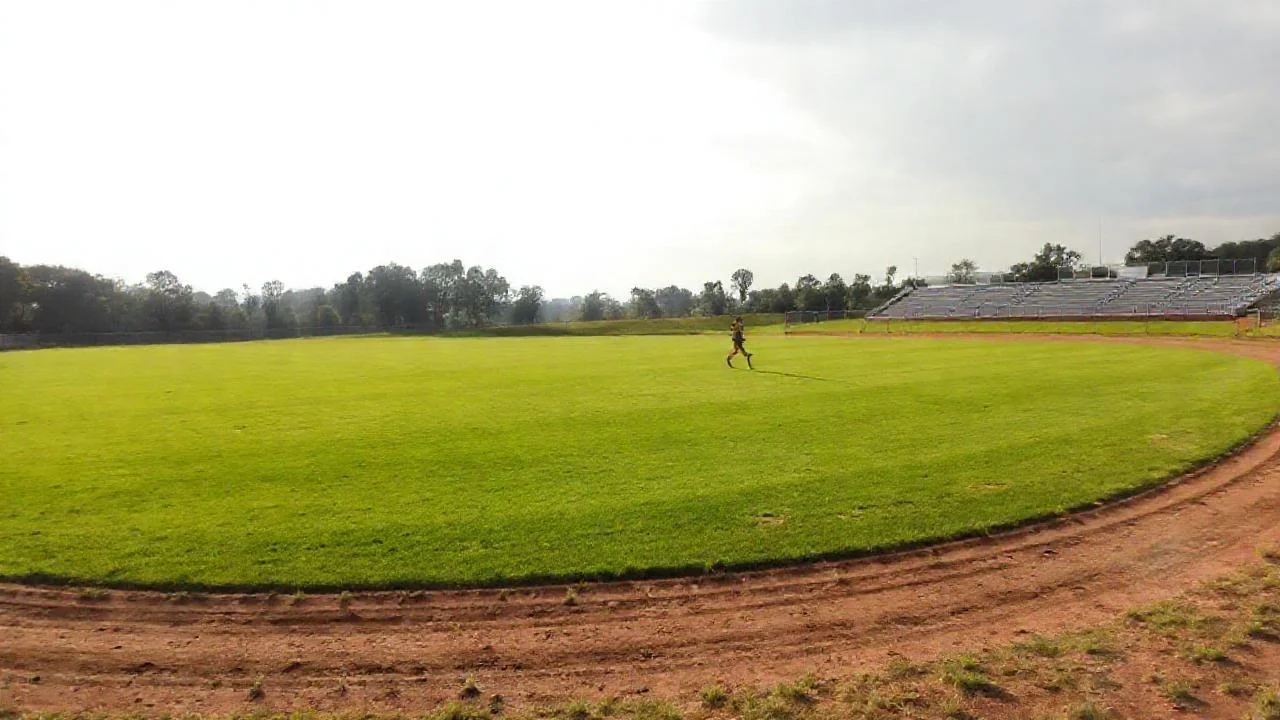 Campo deportivo, sol, movimiento y calma