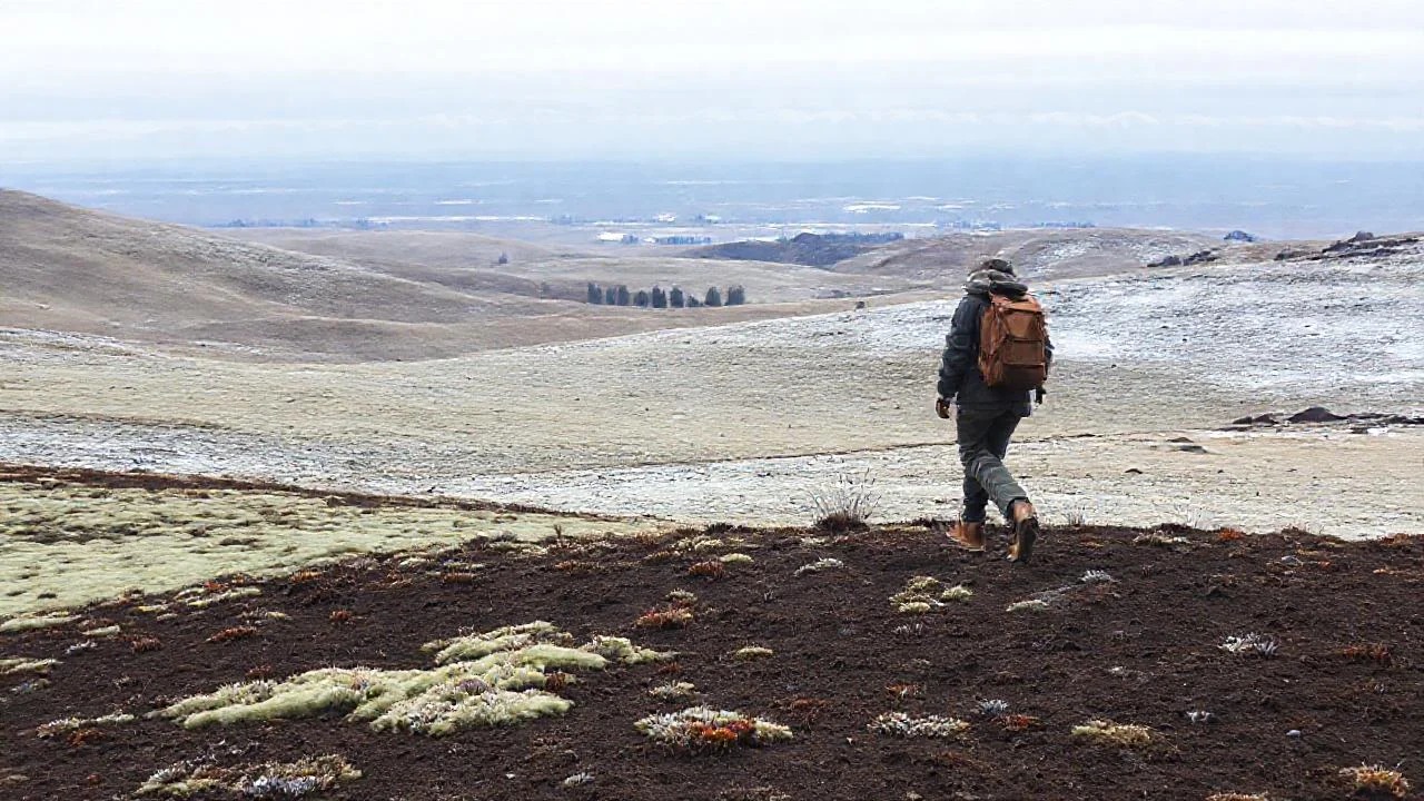 Un caminante solitario recorre paisaje frío