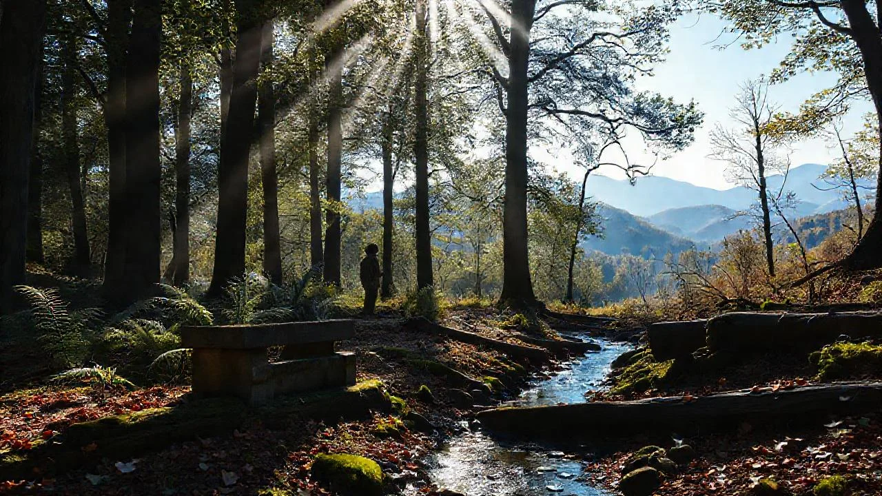 Bosque sereno, luz y quietud natural