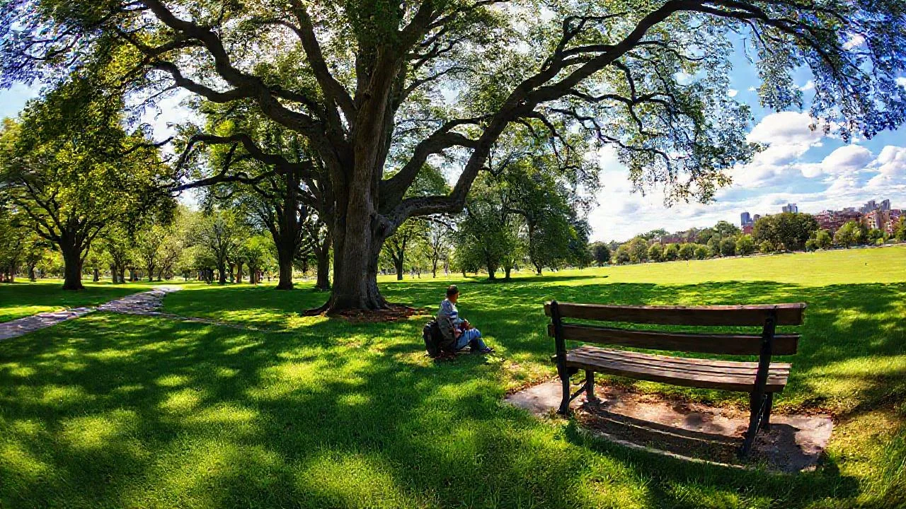 Un parque tranquilo y natural