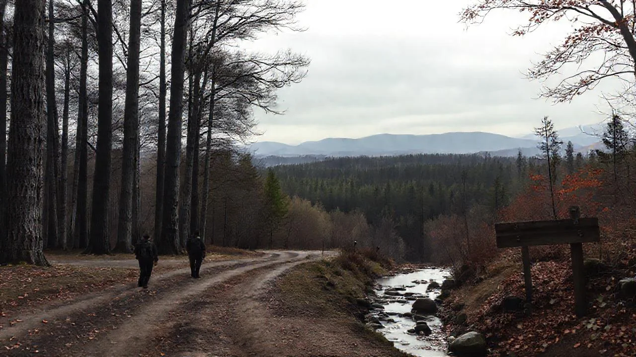Silencio, paisaje, figura solitaria y misterio
