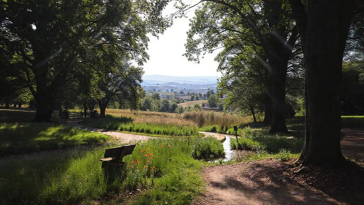 Parque sereno, luz y naturaleza