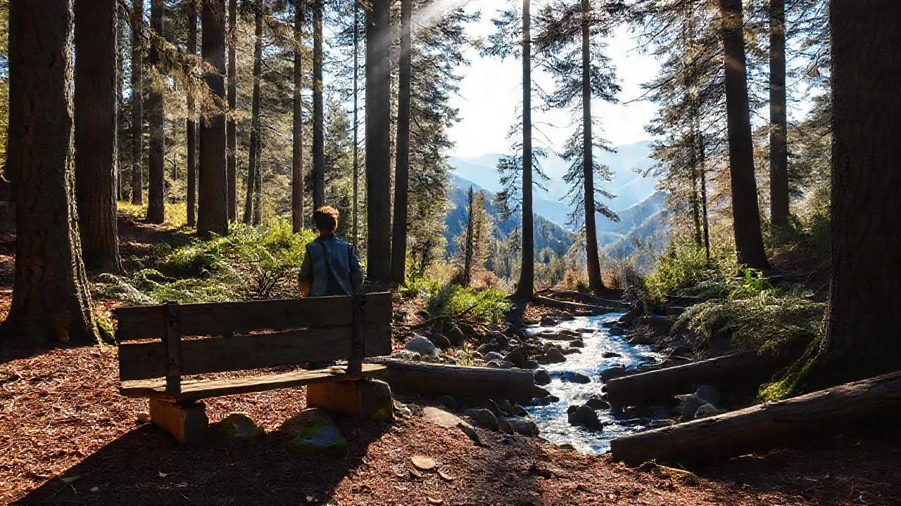 Un solitario observa la paz del bosque