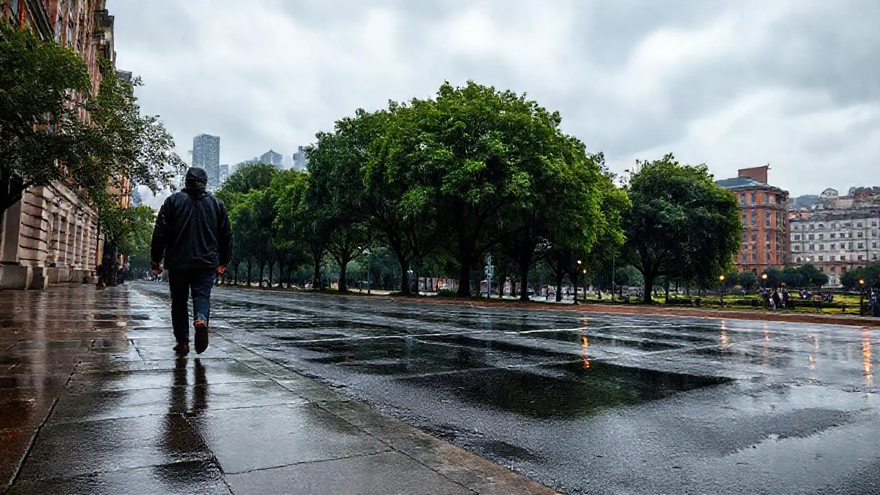 Lluvia urbana, escala difuminada y gris