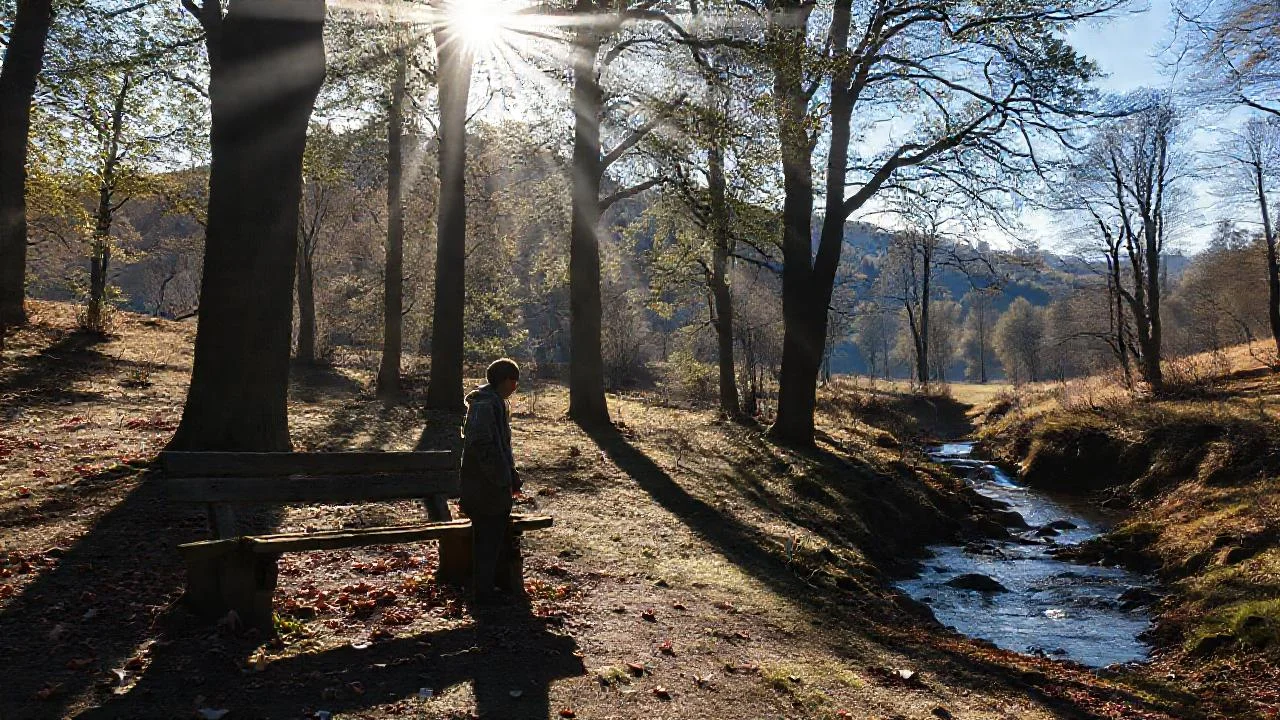 Silencio, luz y bosque sereno
