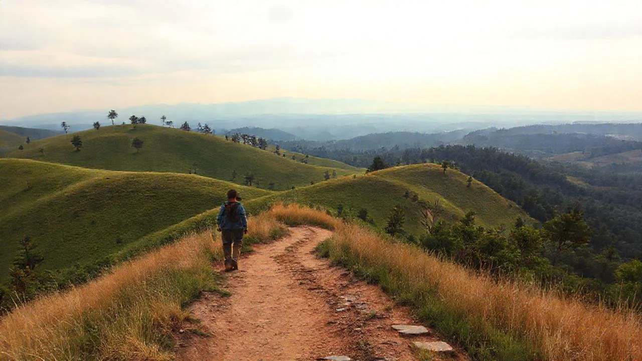 Un caminante solitario en paisaje rural