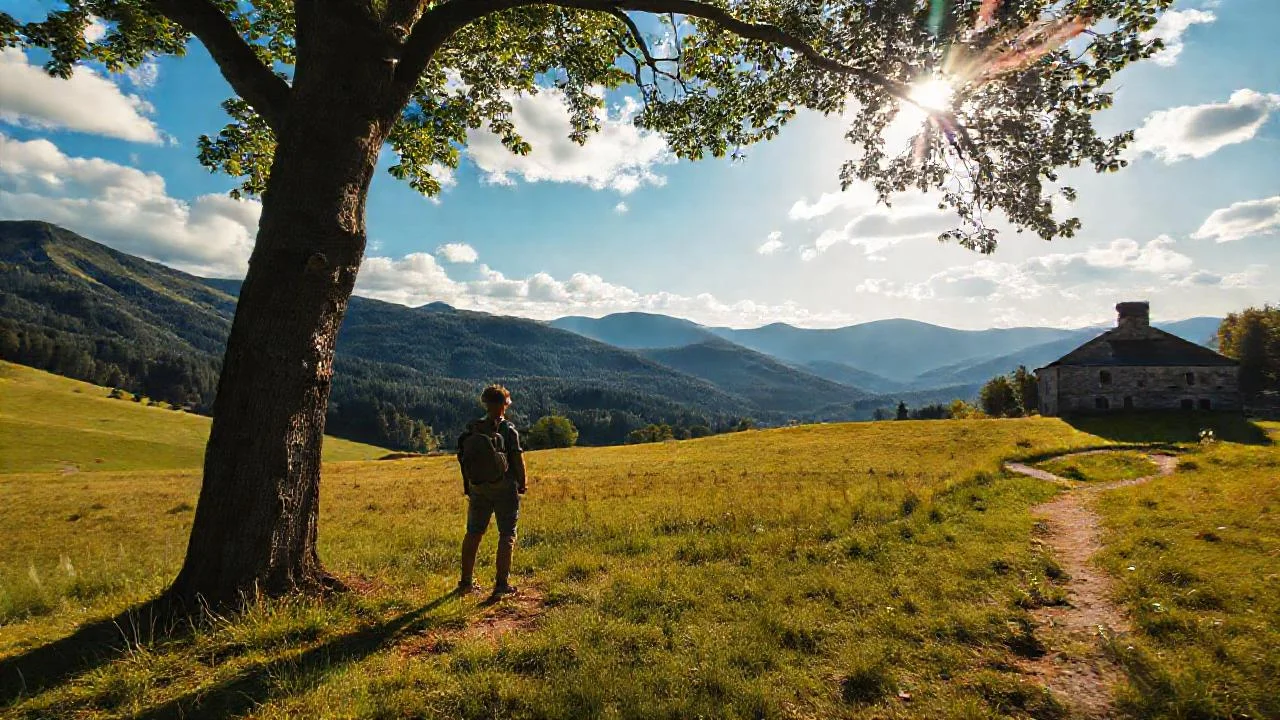 Un paisaje tranquilo y sereno