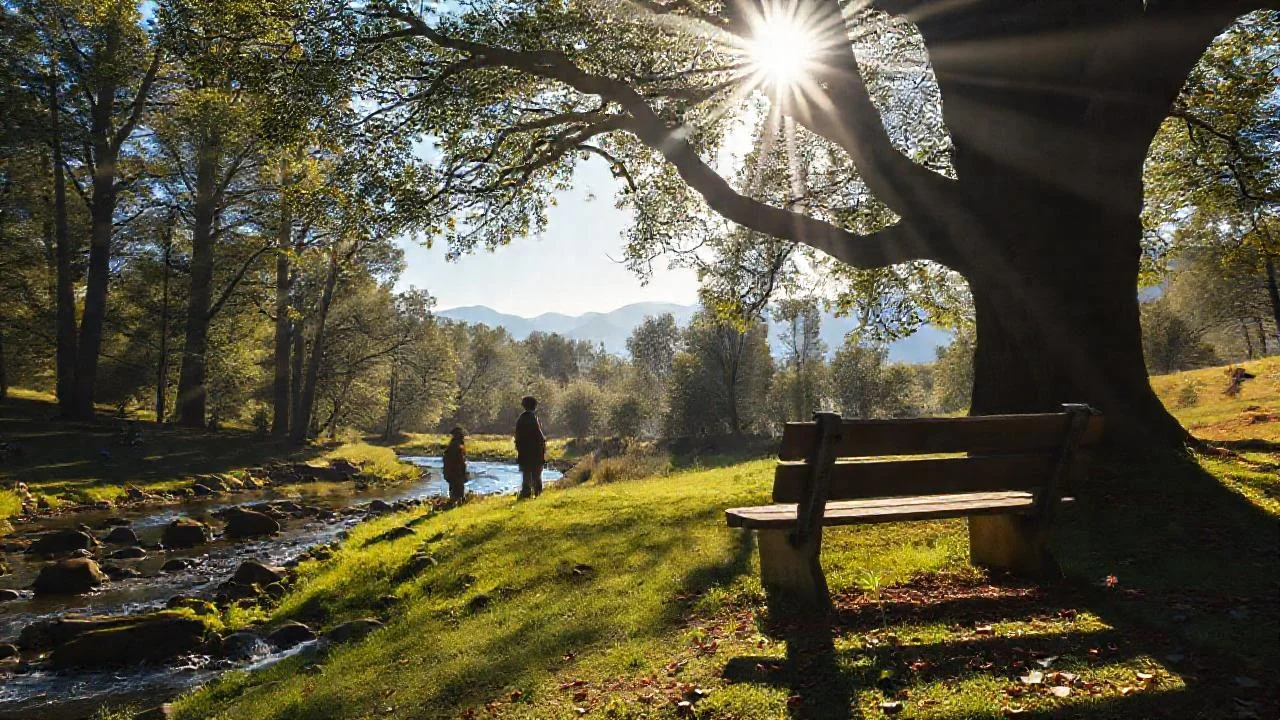 Un bosque tranquilo y solitario