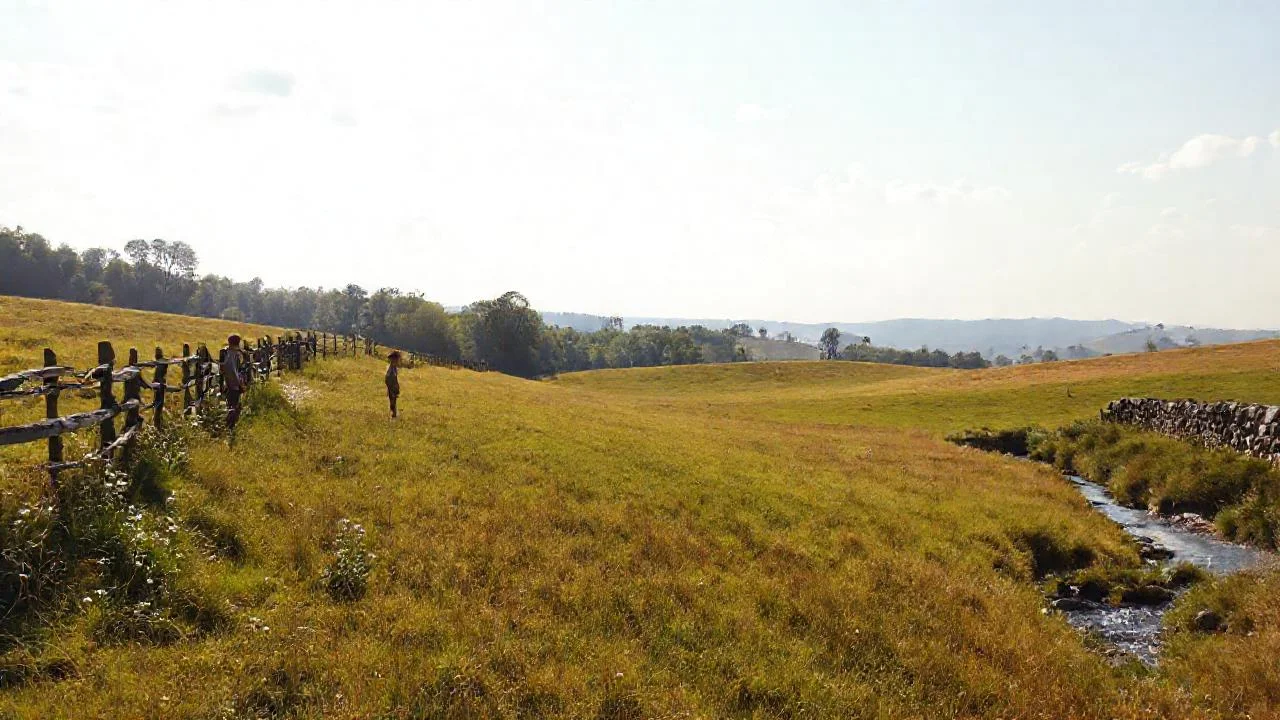 Campo sereno, luz y distancia
