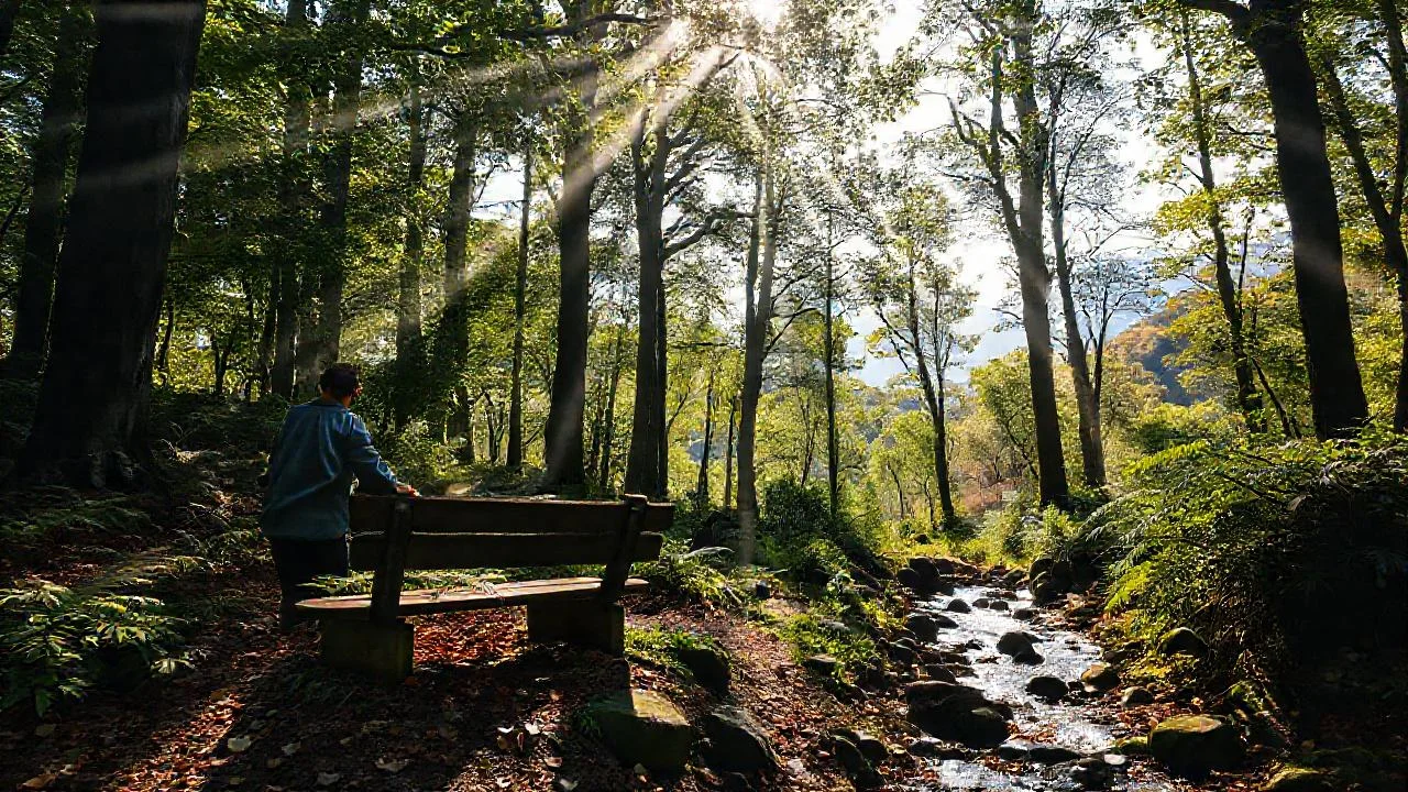 Bosque sereno, luz y sombra danzantes