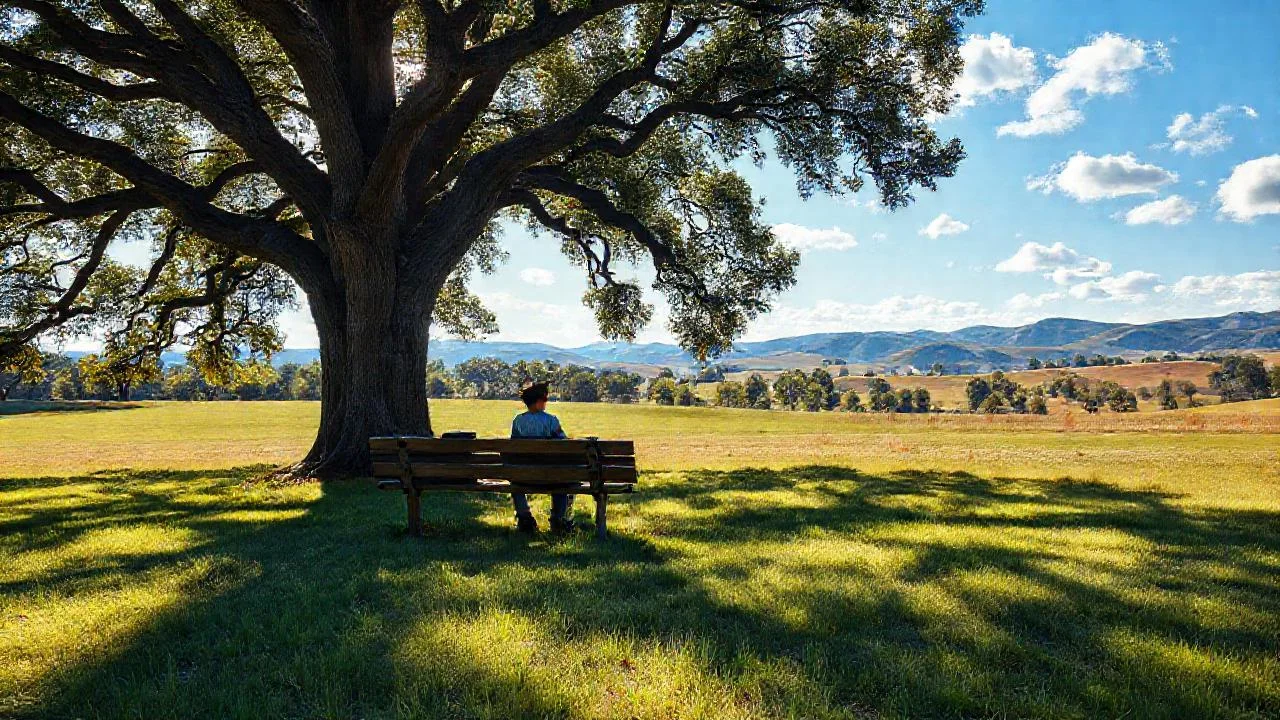 Un tranquilo aula al aire libre